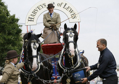 英啤酒节开幕900种风味啤酒吸引狗狗“买醉”（图）