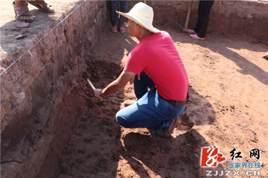 桑植县对朱家坪官田遗址进行抢救性考古发掘