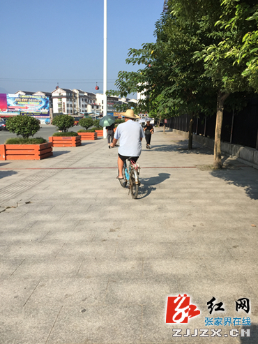 【城市观察员】张家界将建成一条自行车专用道