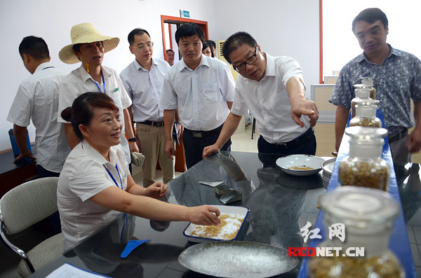 湖南创新早稻收购 实行两次清杂网银结算