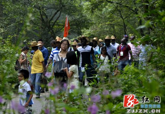 张家界核心景区武陵源迎最火暑期