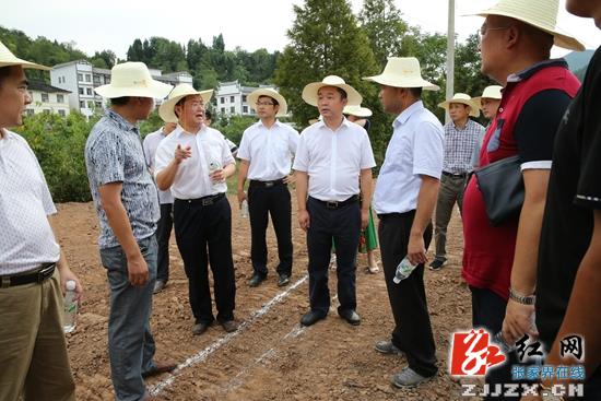 桑植县：刘卫兵到洪家关“美丽乡村”建设现场办公