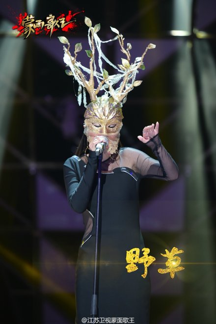 《蒙面歌王》野草