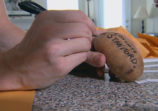 小土豆大生意：男子创“土豆传音”快递大赚（图）