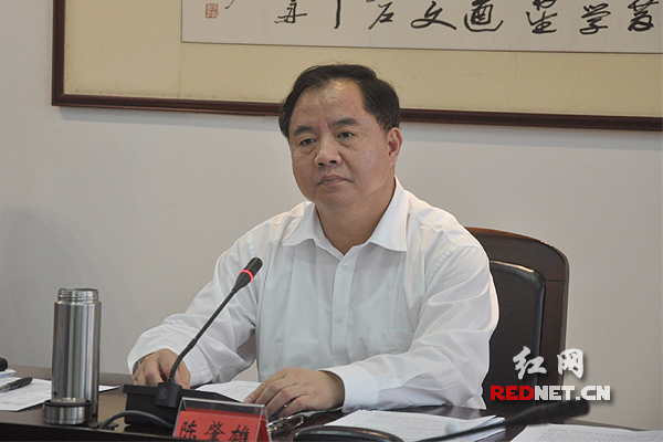 湖南省委常委、常务副省长陈肇雄讲话。