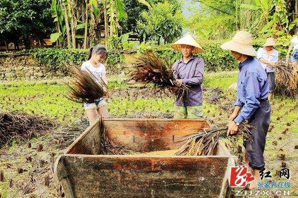 张家界黄龙洞景区现场版土家农耕文化课获“粉丝”大赞