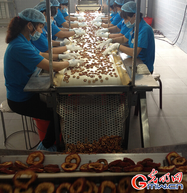 【新常态·光明论】创客说:创业要善用政策“借力打力”