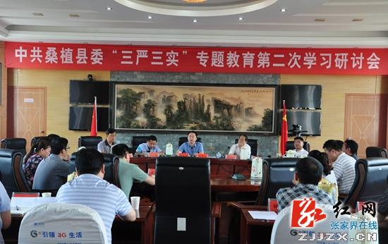桑植：刘卫兵主持召开县委“三严三实”第二学习研讨会(组图)