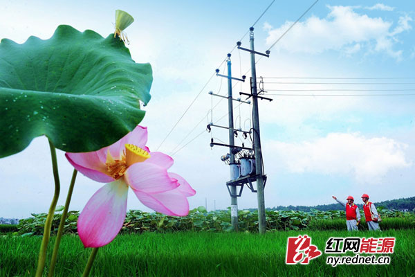 在分水乡大垅村