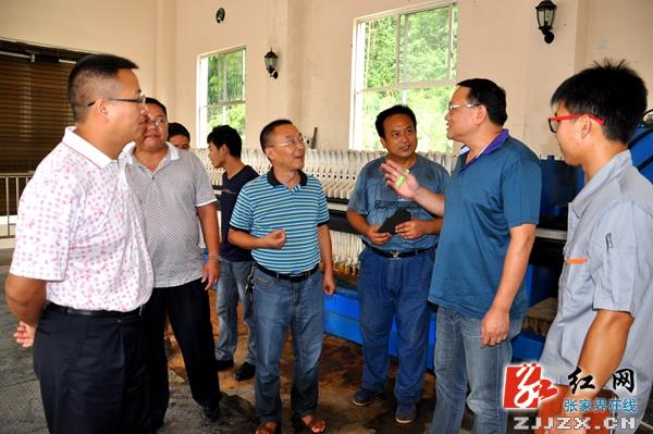 武陵源区迎索溪峪国家卫生镇回访复查