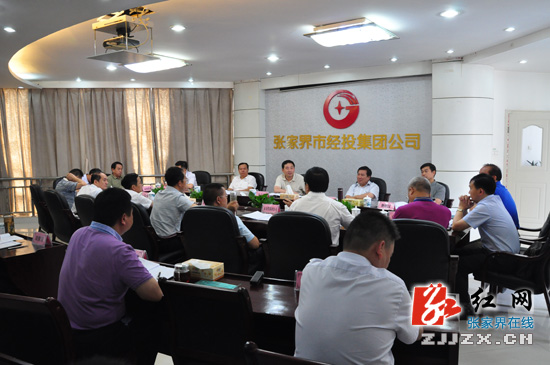 王志刚深入市经投公司等企业进行调研（图）