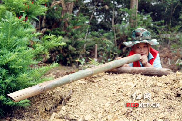 进入战壕进行实战