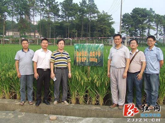 袁隆平支招武陵源：旅游区+超级稻是发展新亮点