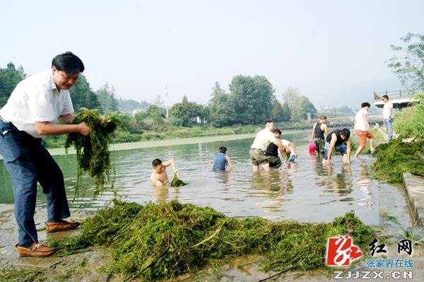 武陵源：保护母亲河 我们在行动