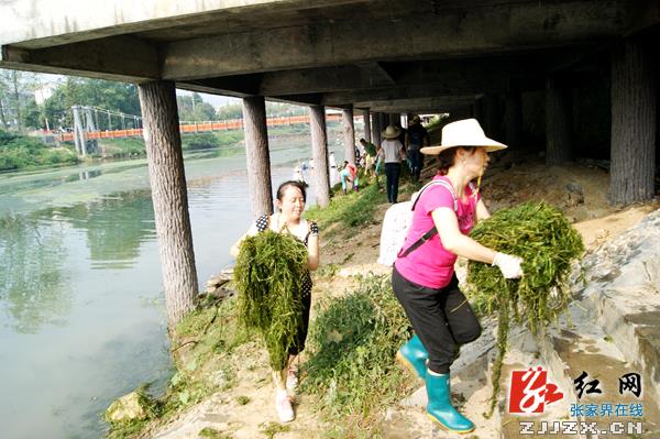 武陵源：保护母亲河 我们在行动