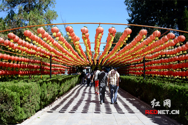 大槐树寻根祭祖园，游客络绎不绝。