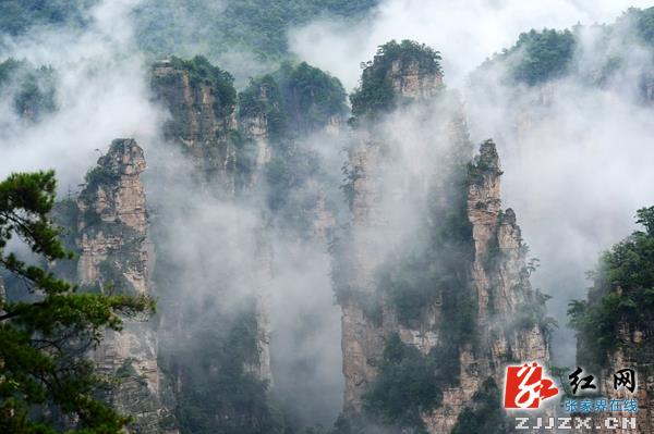 张家界核心景区初秋云海“美呆”游人