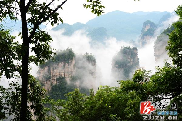 张家界核心景区初秋云海“美呆”游人