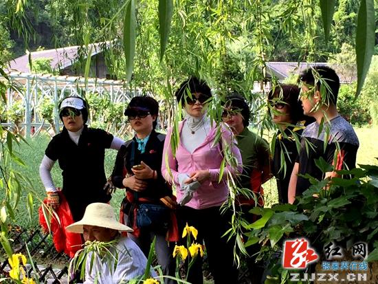 张家界核心景区武陵源韩国客增幅近三成（组图）