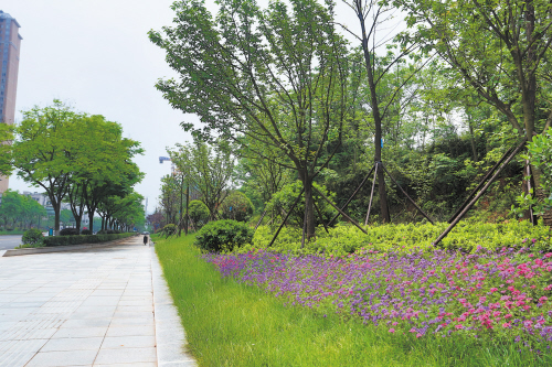 绿色城市建设增添绿色的同时，也为市民日常生活带来了舒适体验。资料图片