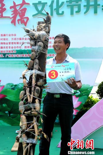 广州近14公斤重“莲藕王”拍出3.4万元天价（图）