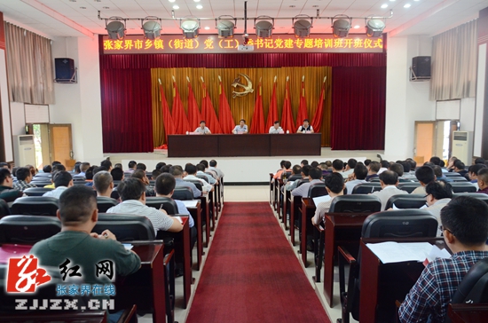 张家界103名乡镇（街道）党（工）委书记学习如何种好“责任田”