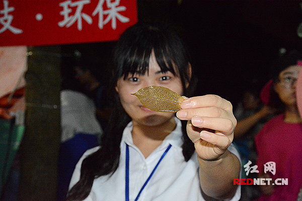 长沙东湖街道举办科技两型创新创业成果展(图