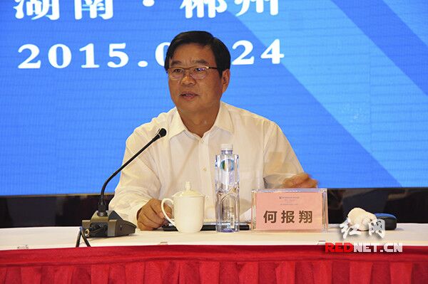 会议由湖南省政府副省长何报翔主持。