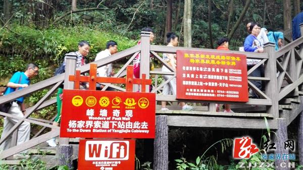 年揽客突破160万人 杨家界索道成武陵源“黄金空中走廊”