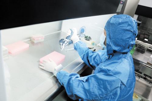 工作人员正在进行囊胚样本检测。　　长沙晚报通讯员 董雷 摄