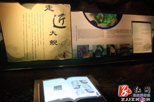 全球首条大鲵文化主题旅游线路落户张家界武陵源