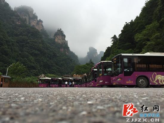 “十一”黄金周 张家界核心景区武陵源五大交通线正常营运