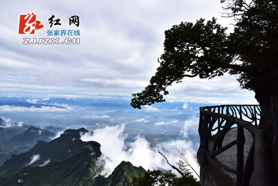 张家界天门山景区十一黄金周运营时间调整