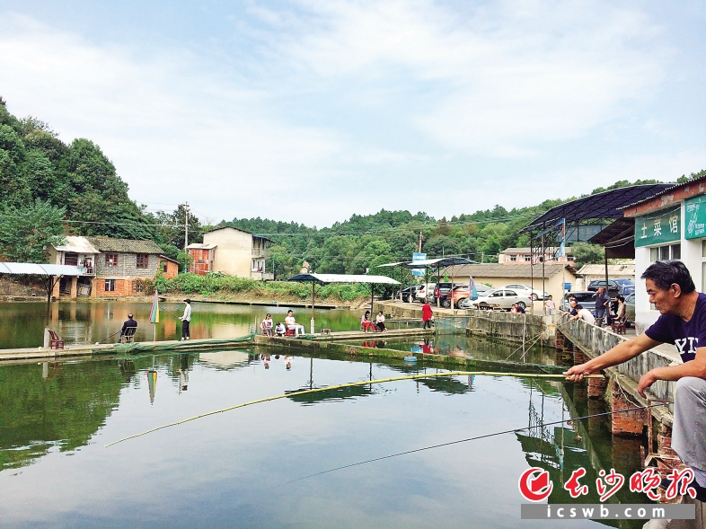 乐垂钓 国庆长假,位于开福区洪山寺附近的某农家乐内,市民正在池塘边