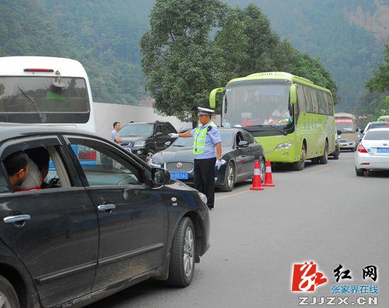 【“十一”在张家界】张家界国家森林公园最繁忙的路口守护者