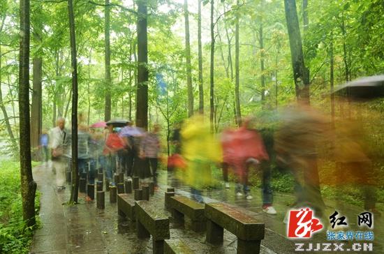 【“十一”在张家界】黄金周尾声 张家界武陵源旅游保持高位运行