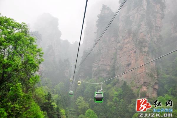 杨家界“十一”成武陵源热点景区  游客量同比翻番