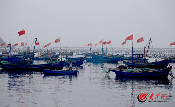 大钦岛渔港外停满了大大小小的渔船。记者 孙晨 摄