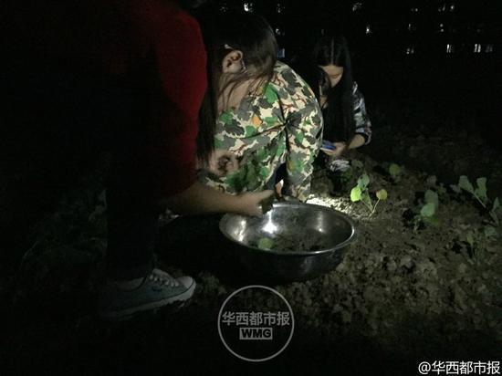 高校开种田必修课