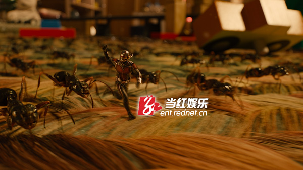 蚁人和他的蚂蚁大军