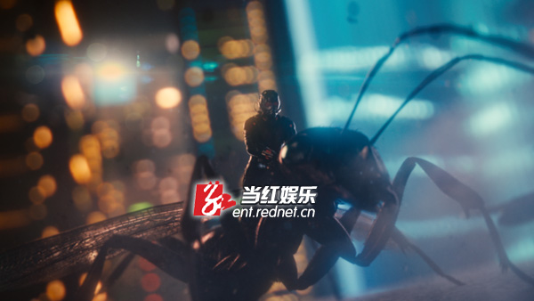 蚁人和他的坐骑——一只能飞的蚂蚁