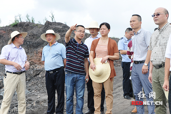 雨湖区委书记刘永珍[女]在雨湖工业集中区调研。