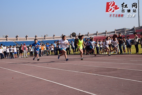 375人参加岳塘区2015年中小学生田径运动会