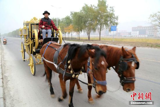 甘肃男子自制“英式皇家马车”上公路