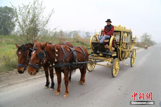 甘肃男子自制“英式皇家马车”上公路