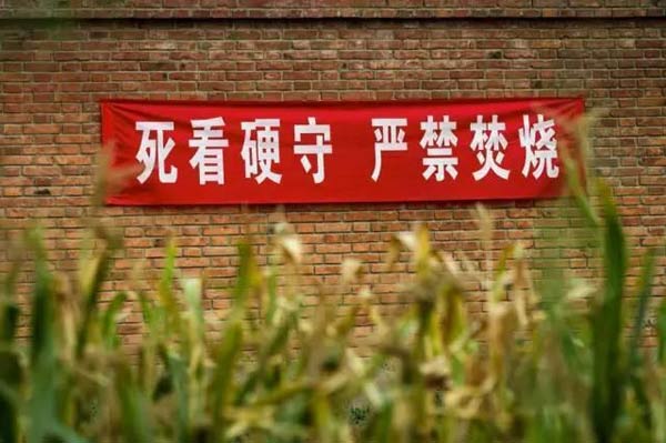 图为打击焚烧秸秆标语。