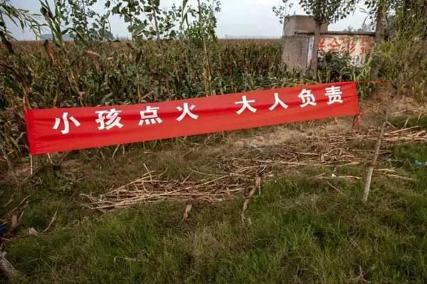 图为打击焚烧秸秆标语。