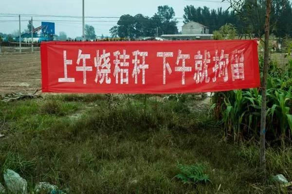 图为打击焚烧秸秆标语。