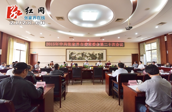 市委常委20次常务会 照片
