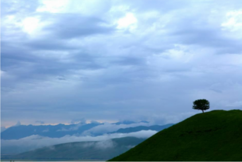 雨后的那拉提，孤独的树，守望着远方的云，永远那么挺。